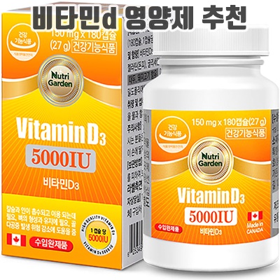 2024 비타민d 영양제 추천 순위 TOP10