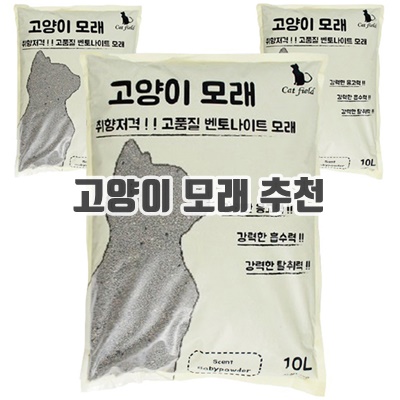 2024 고양이 모래 종류 추천